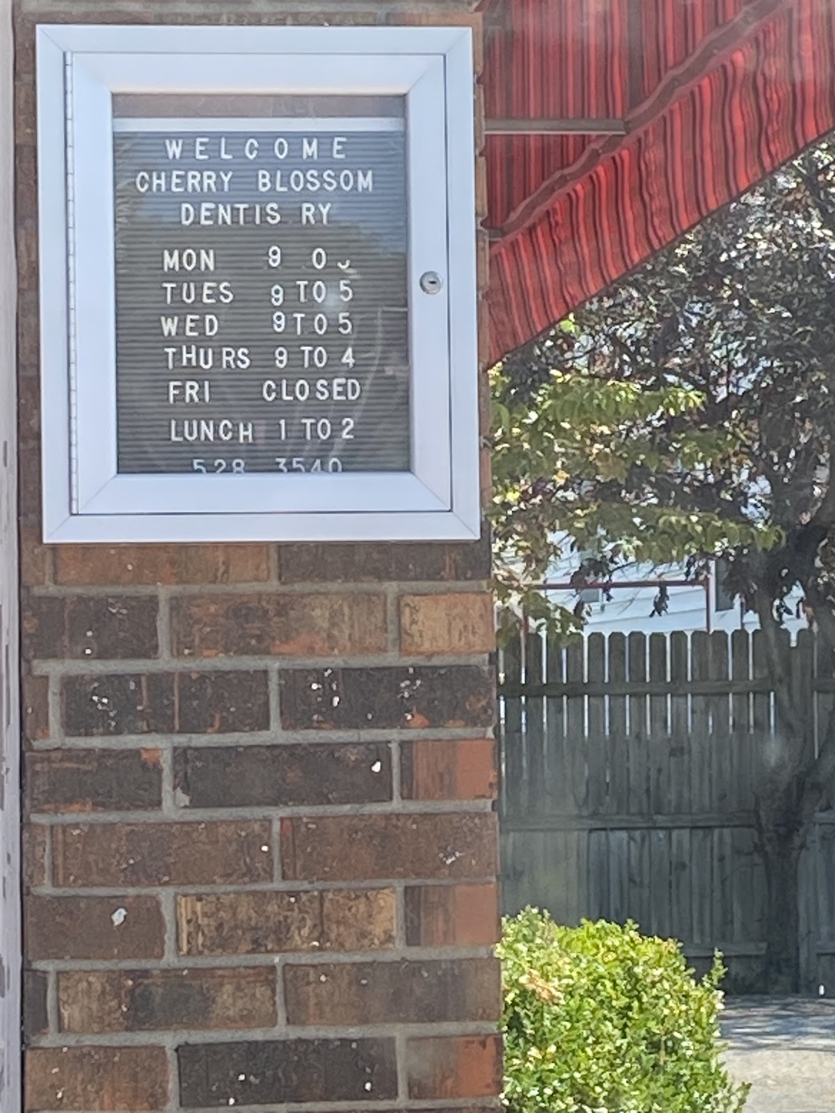 Cherry Blossom Dentistry photo 6