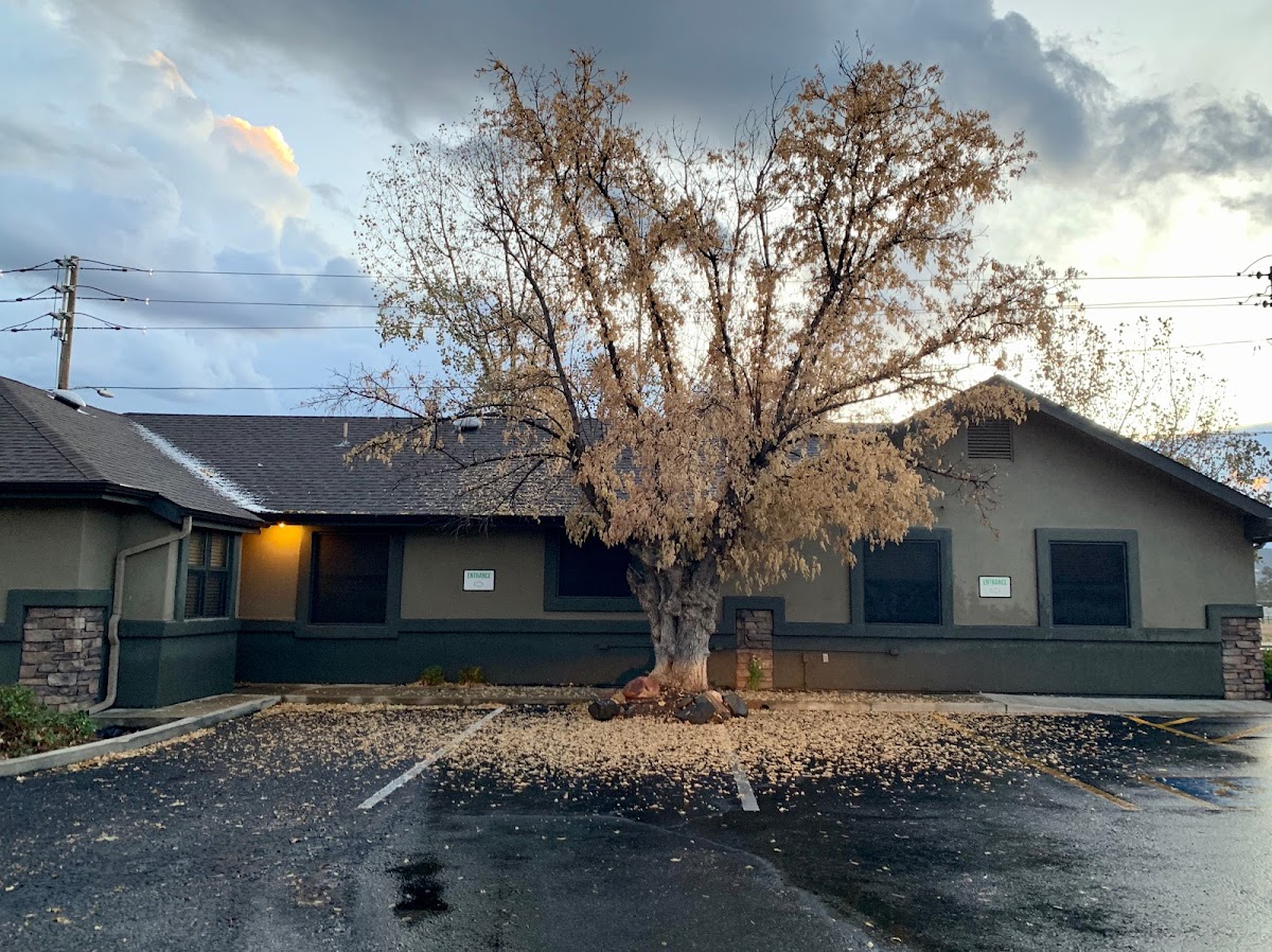 Pineview Family Dental photo 3