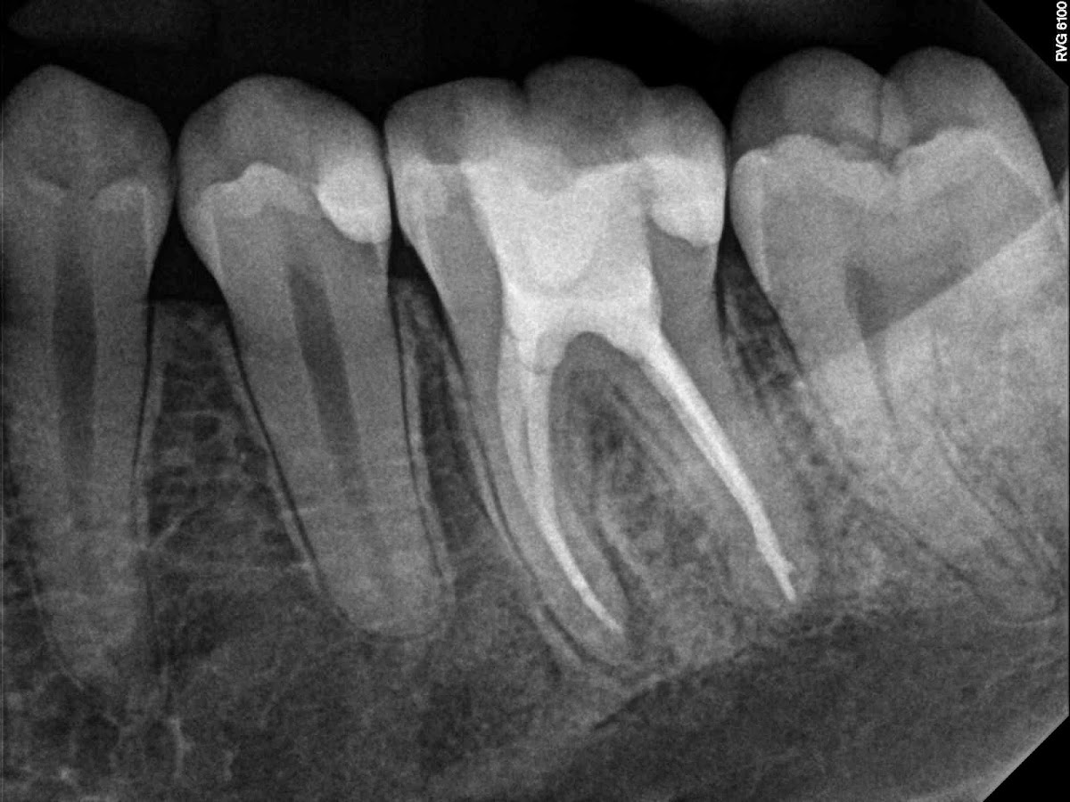 Lone Oak Dental photo 2