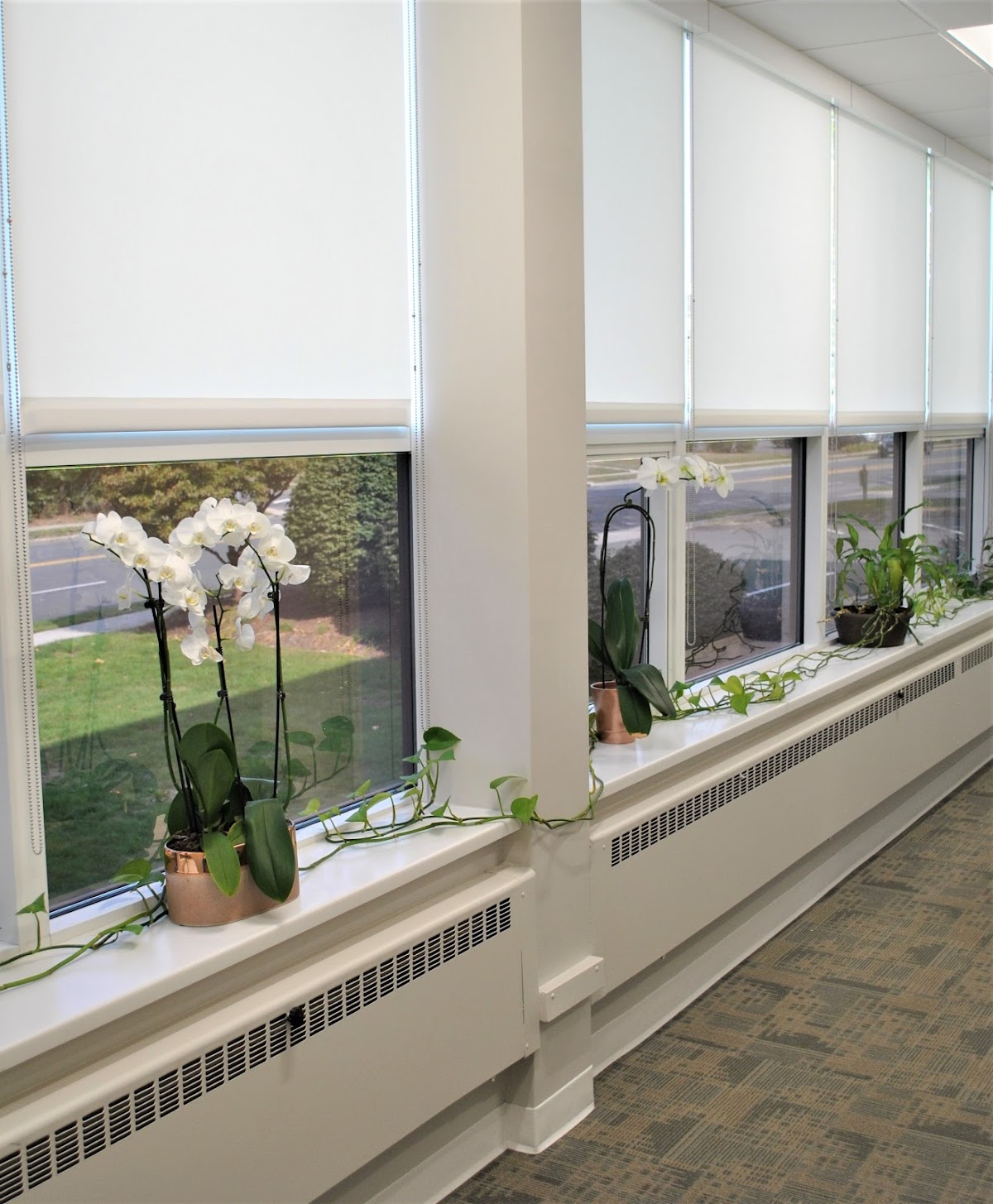 Connecticut Center for Oral, Facial & Implant Surgery, PC photo 3