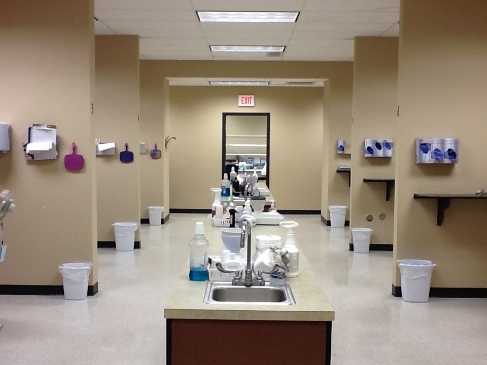 Affordable Dentures & Implants - Kyle photo 2