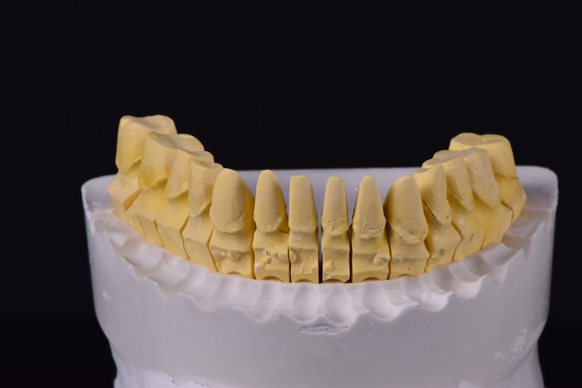 Pan-am Dental Laboratory photo 1
