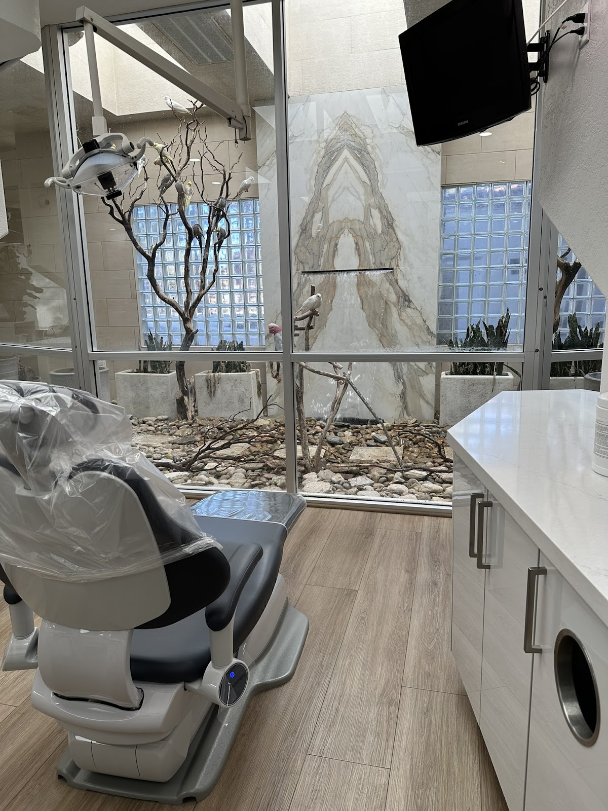 Lasting Smiles Dental Care Las Vegas photo 2