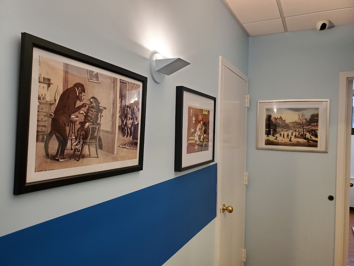 Stamford Dental Arts photo 4