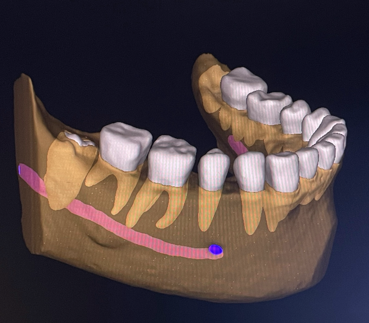 Stahr Oral Surgery photo 1