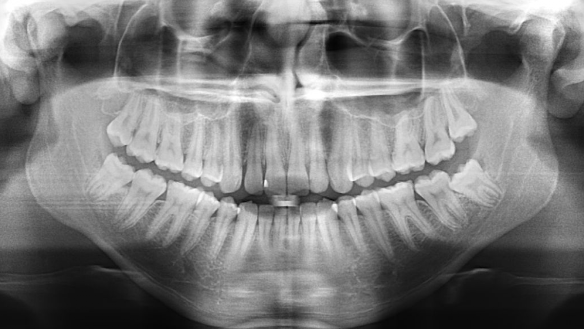 Stahr Oral Surgery photo 2
