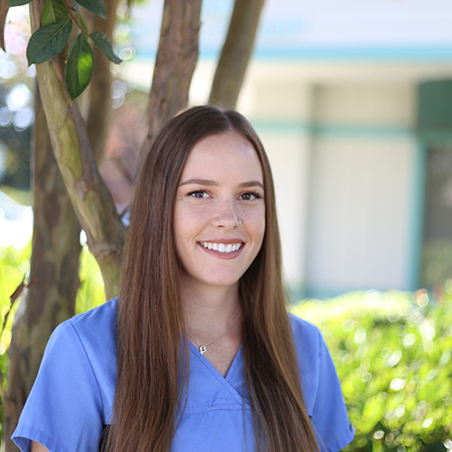 Wat Oral Surgery photo 3