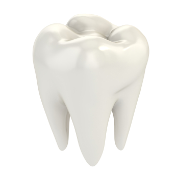 Oakley Oral Surgery - Dr. Richard M. Oakley photo 4