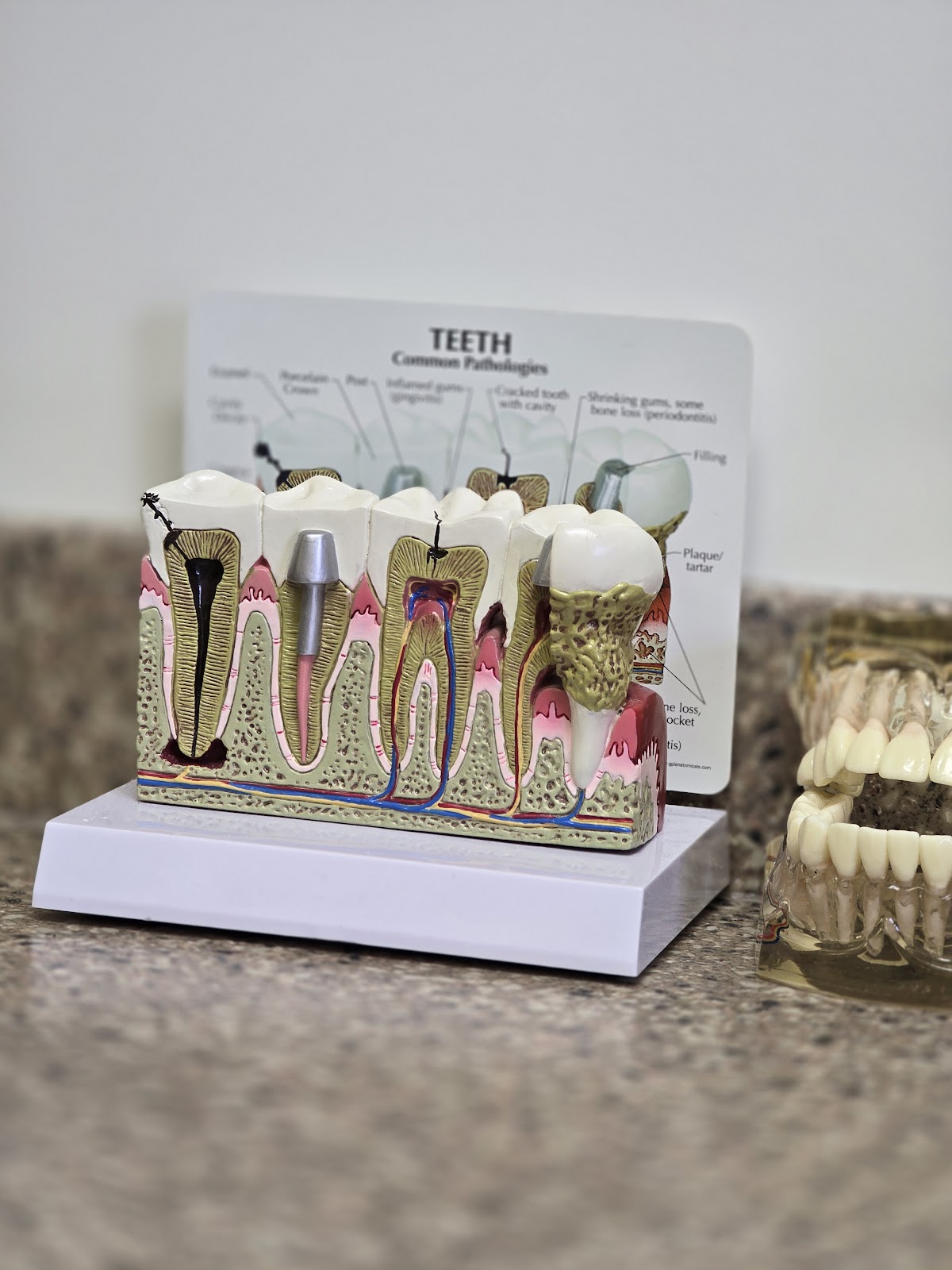 Premier Dental & Implants - in Tigard photo 6