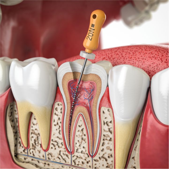 Dental Wellness Of Anaheim photo 1