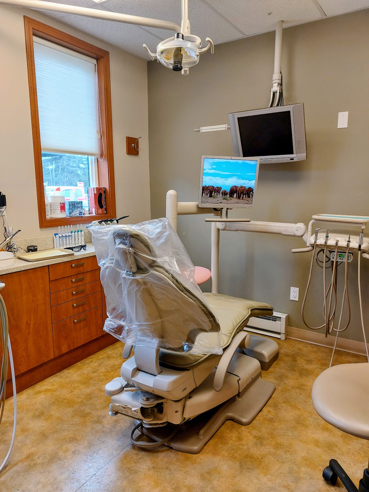 Alaska Dental Arts photo 1