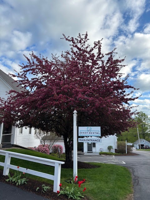 Arndt Dental photo 5