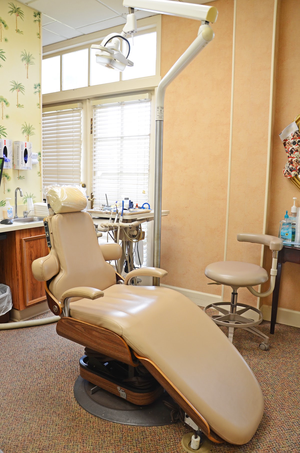 Plantation Dental Ssi photo 2