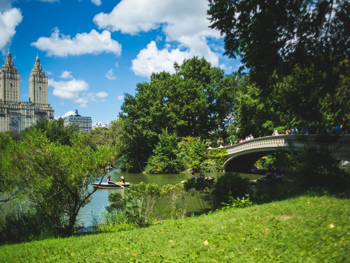 Oral & Maxillofacial Surgery of New York City photo 1