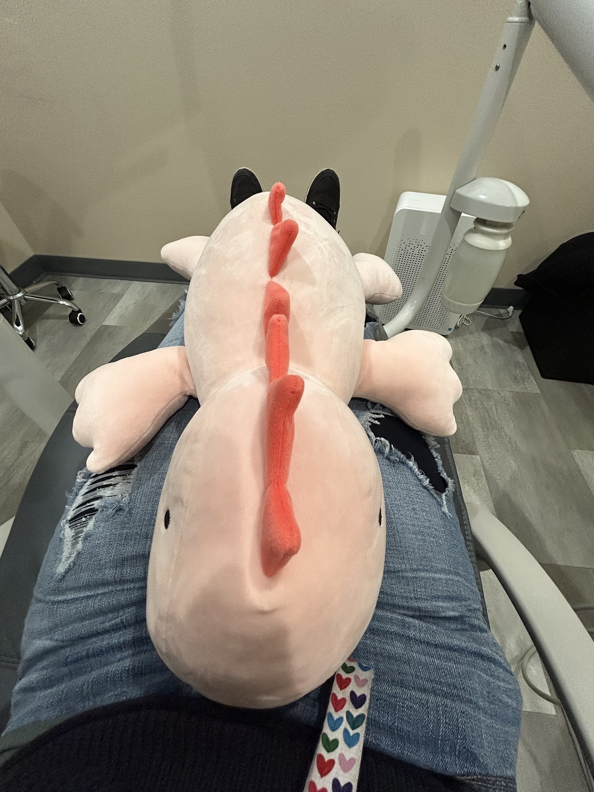 Alpine Dental photo 5