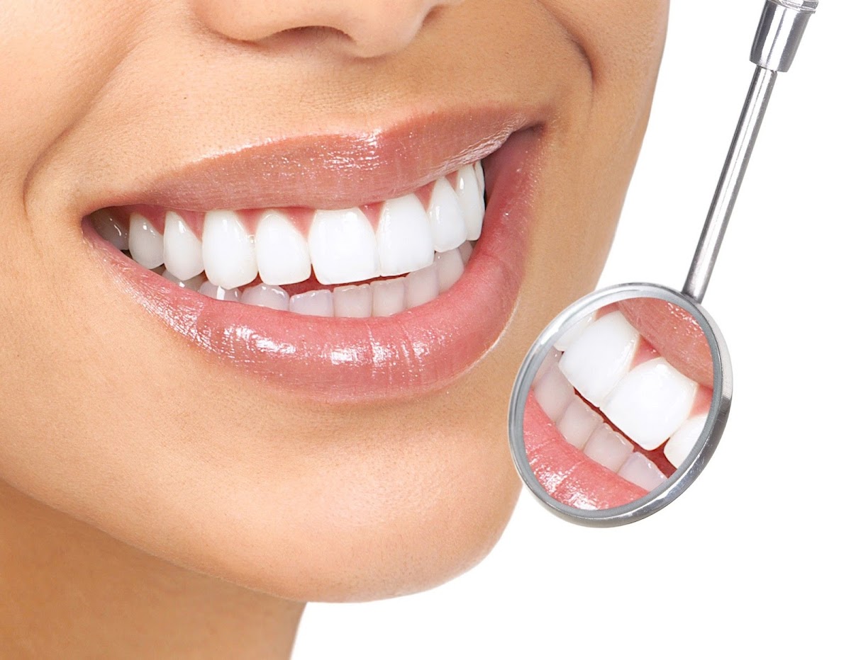 Evergreen Dental photo 3