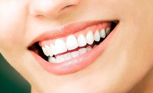 Evergreen Dental photo 5