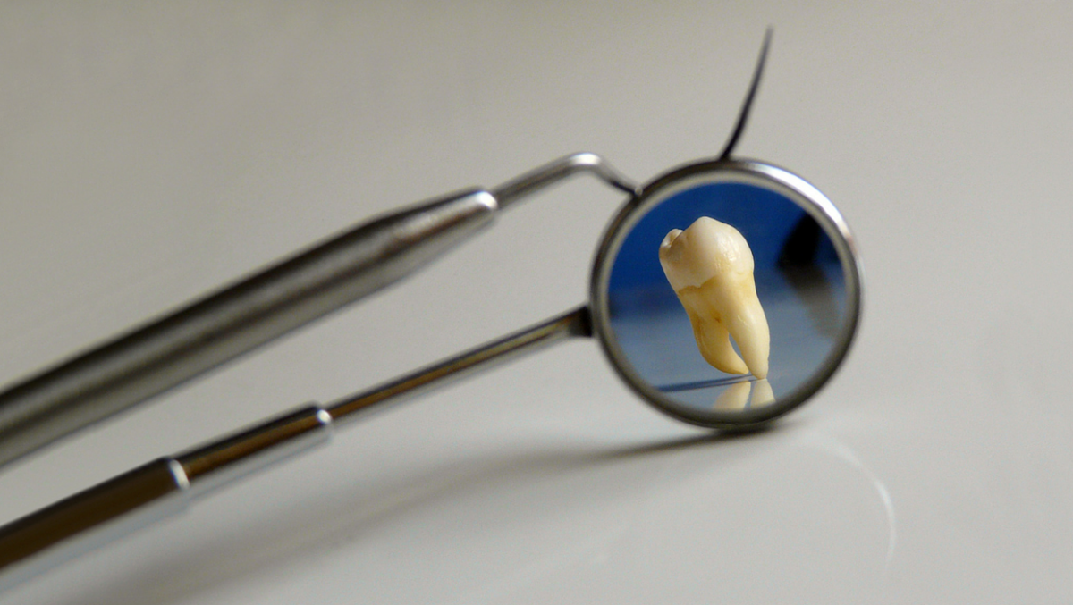 Soundview Oral and Maxillofacial Surgery photo 1