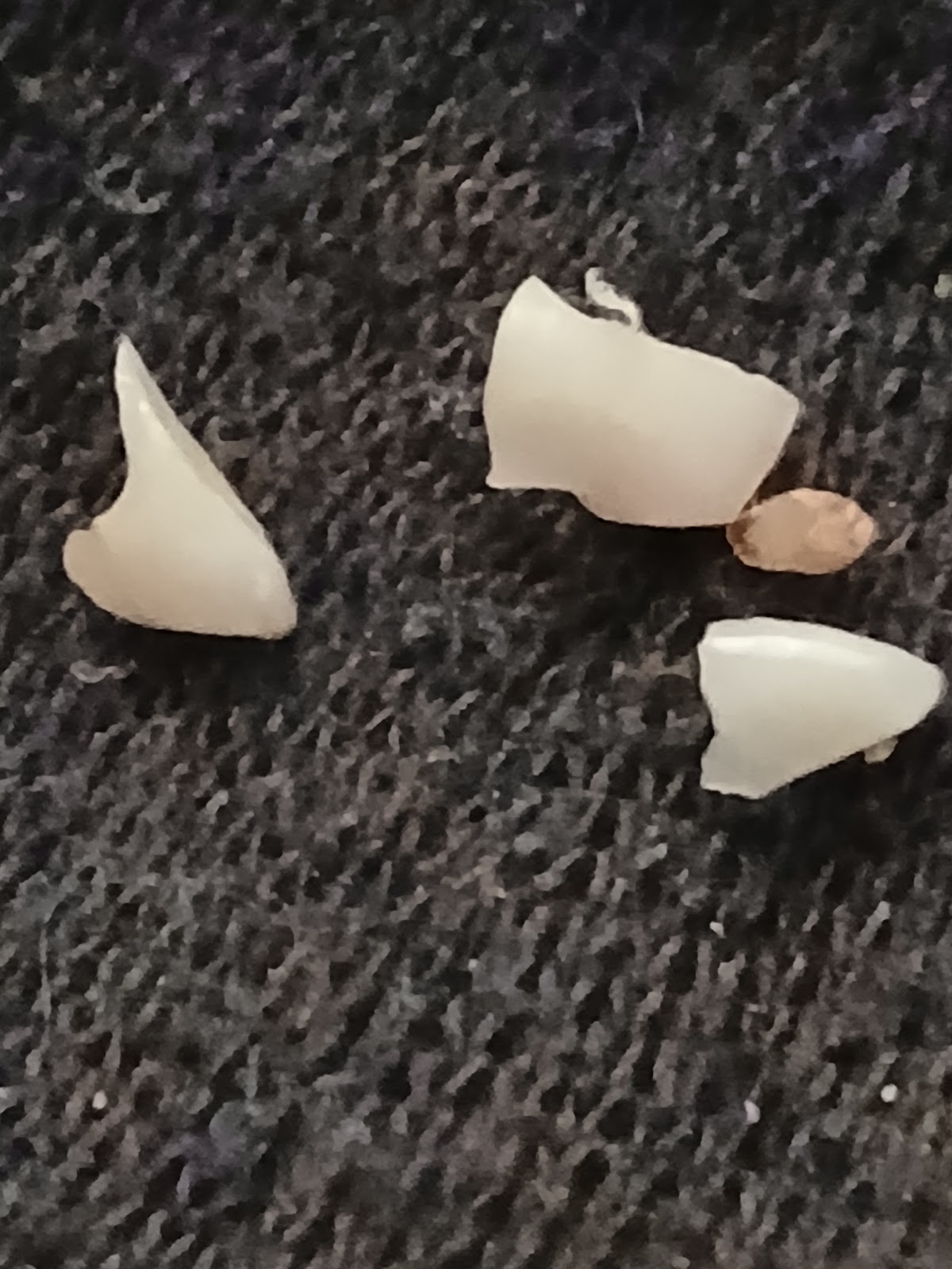 Cornerstone Dental, PLLC photo 5