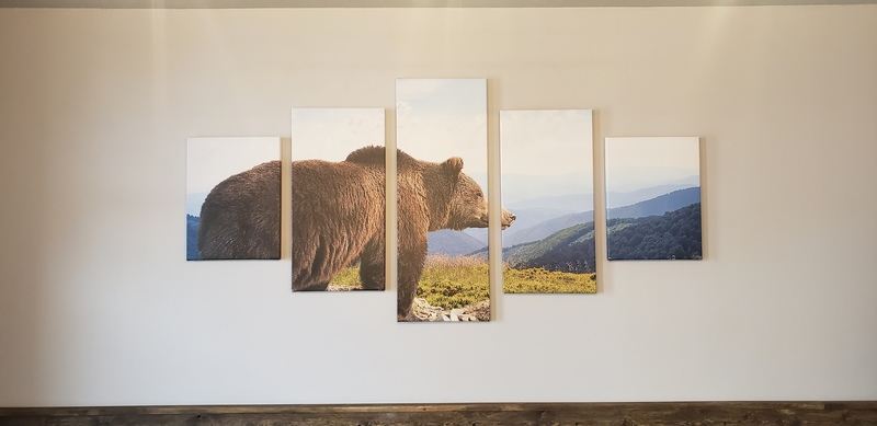 Bear River Family Dental photo 4