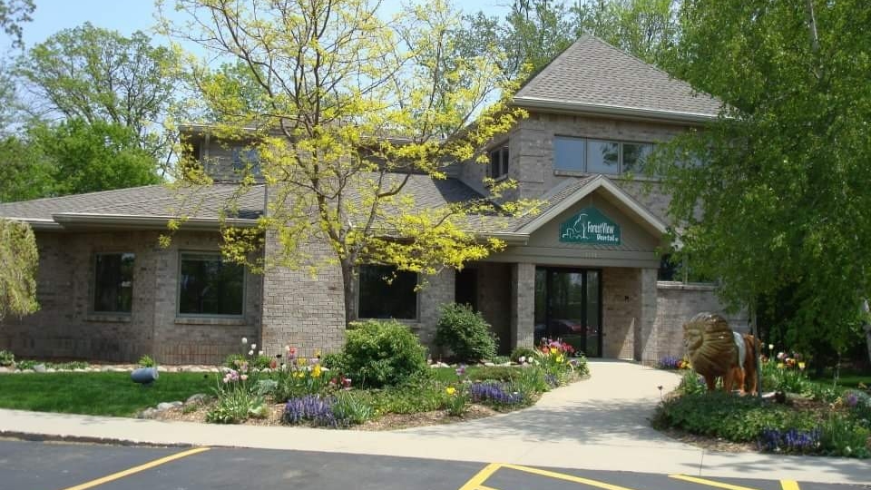 Forest View Dental photo 1