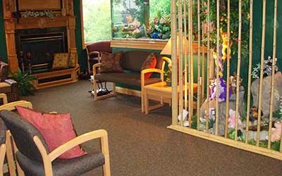 Forest View Dental photo 2