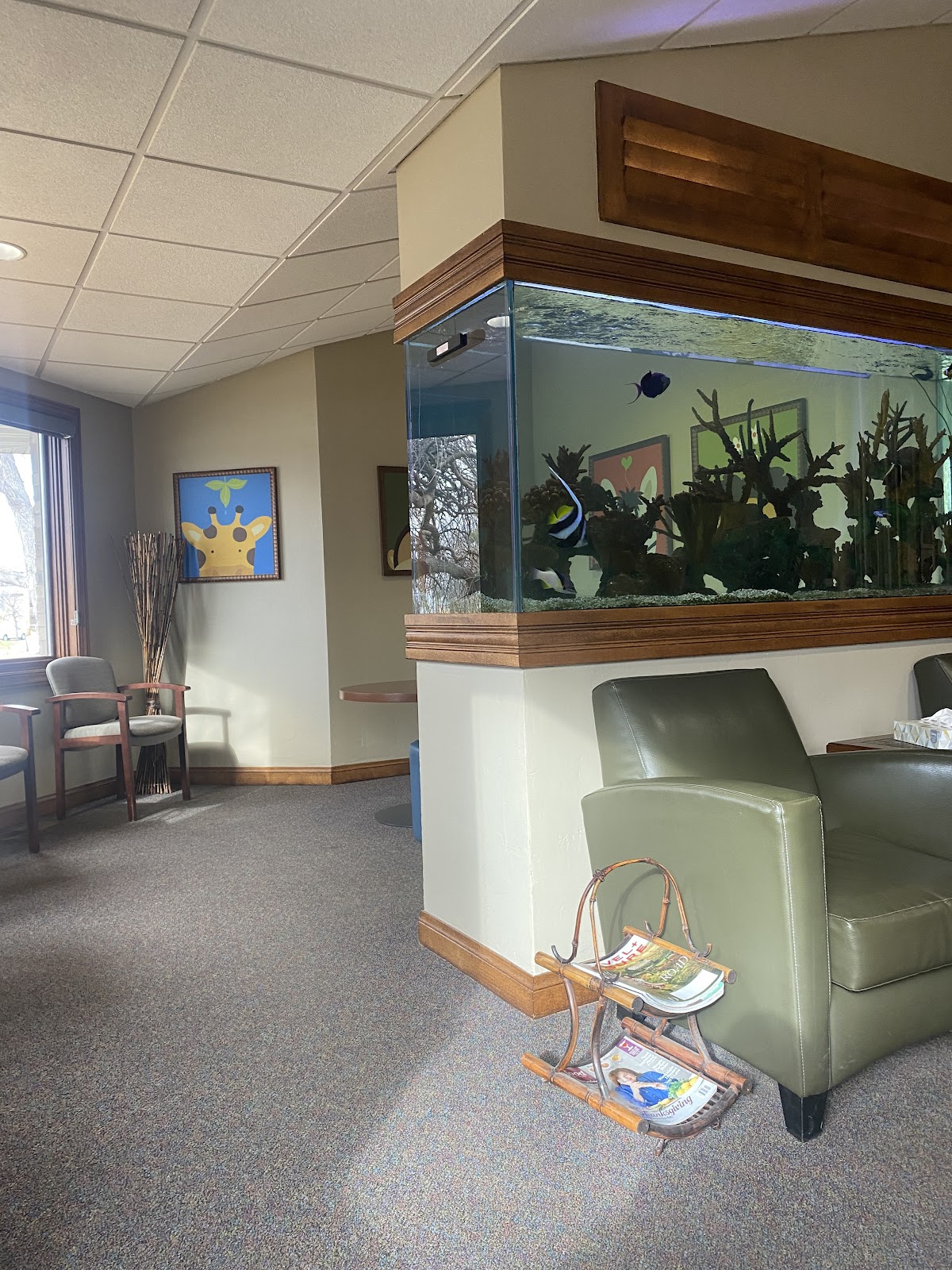 Forest View Dental photo 4