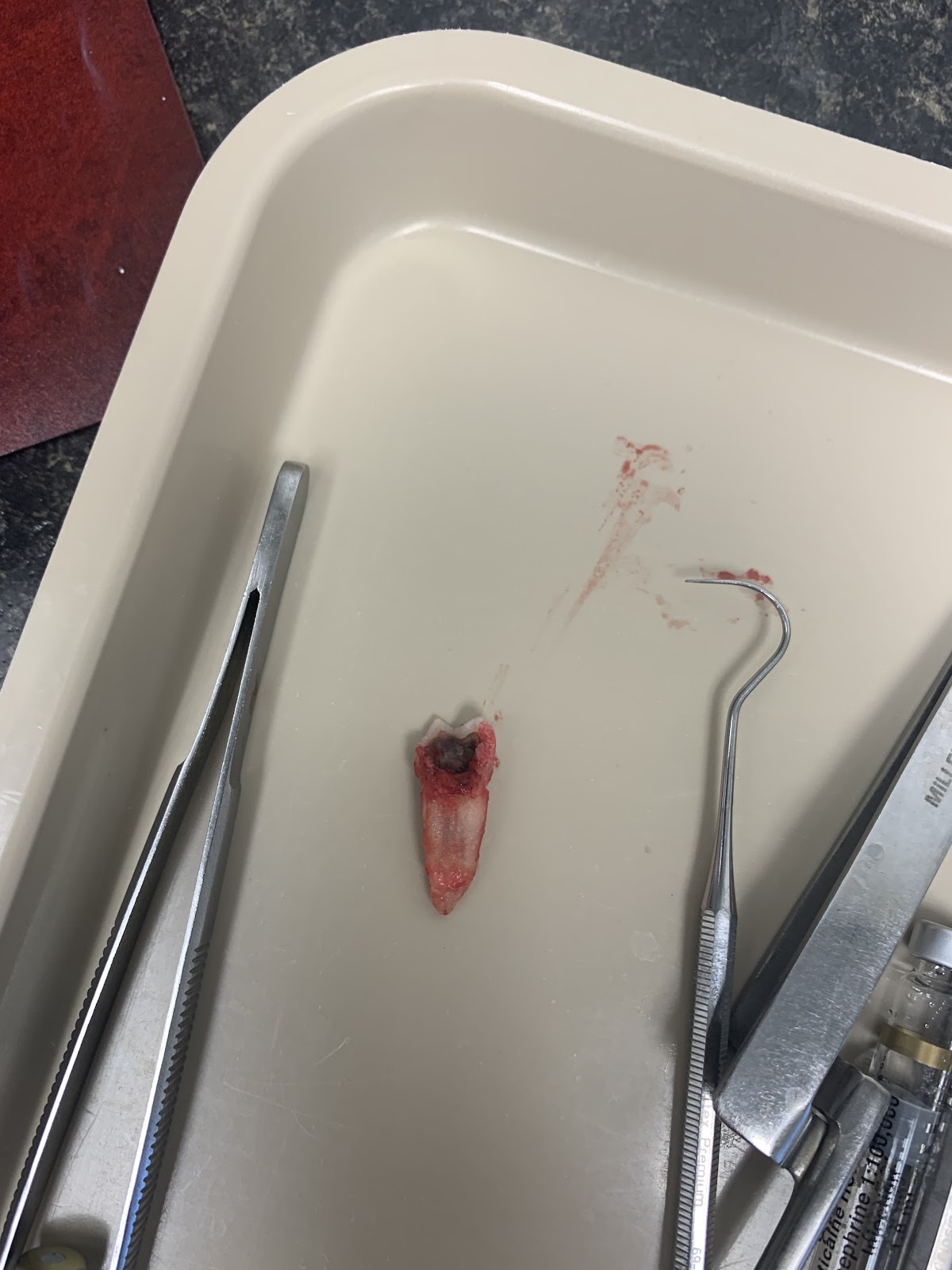Putman Dental photo 5