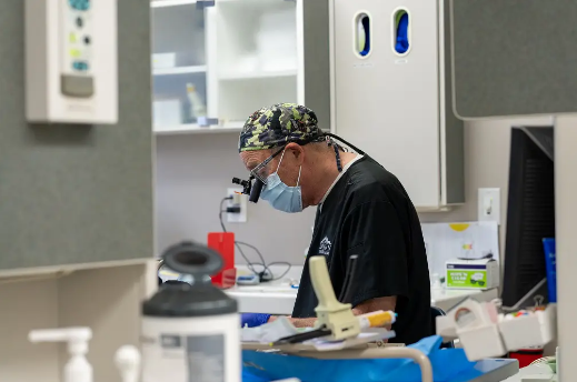 Denali Dental Care & Facial Aesthetics photo 5