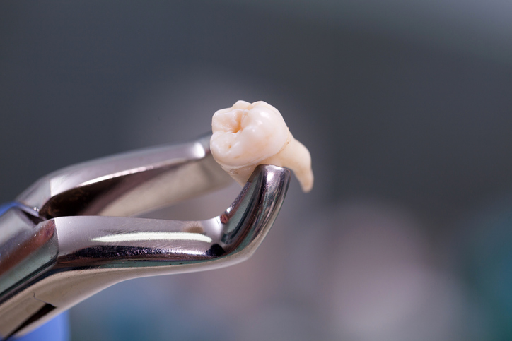 Bay City Dental photo 3