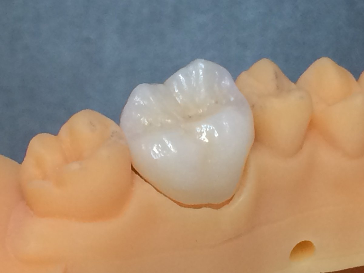 Bay City Dental photo 4