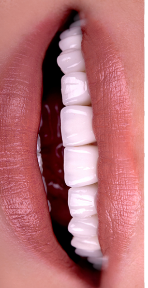 Water Brook Dental photo 6