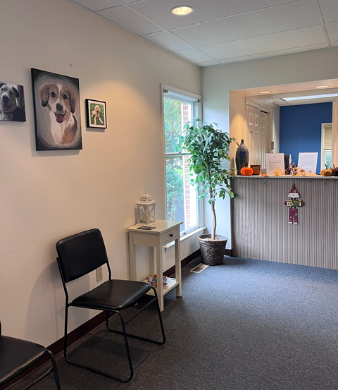 Affordable Dental Solutions - Reading photo 4