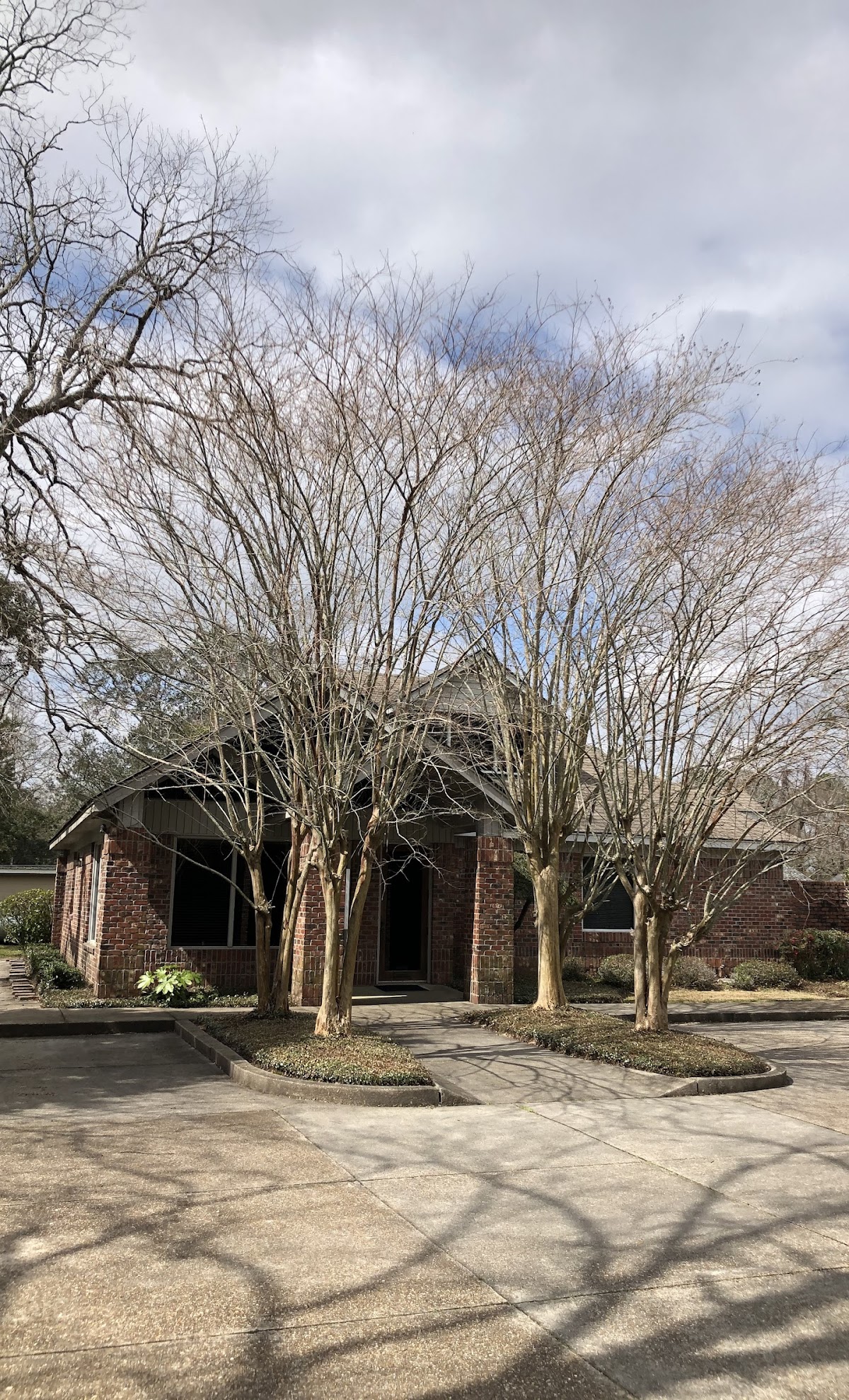 Serenity Dental of Mobile photo 6