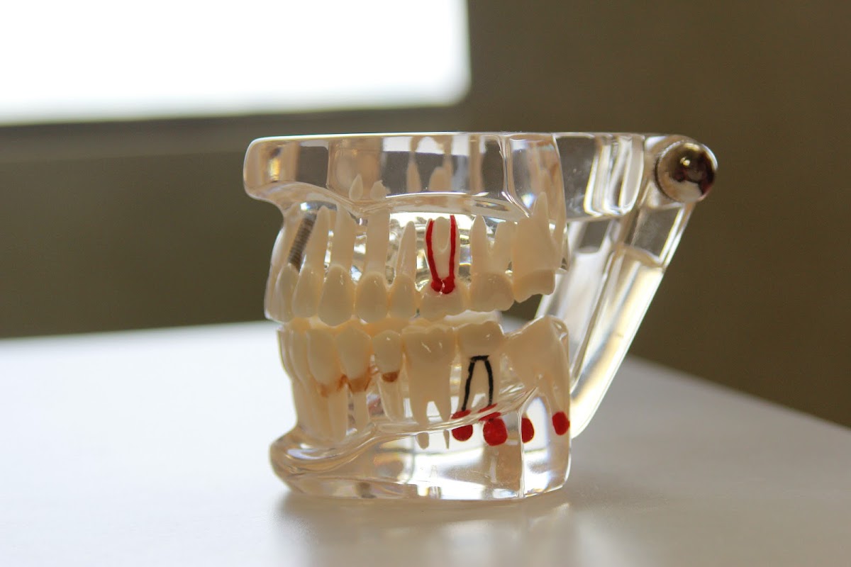 Bayview Dental Associates photo 3