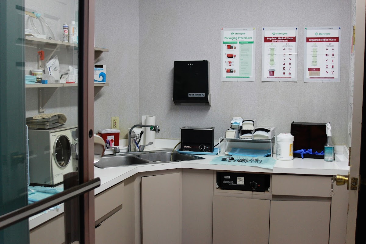 Bayview Dental Associates photo 5