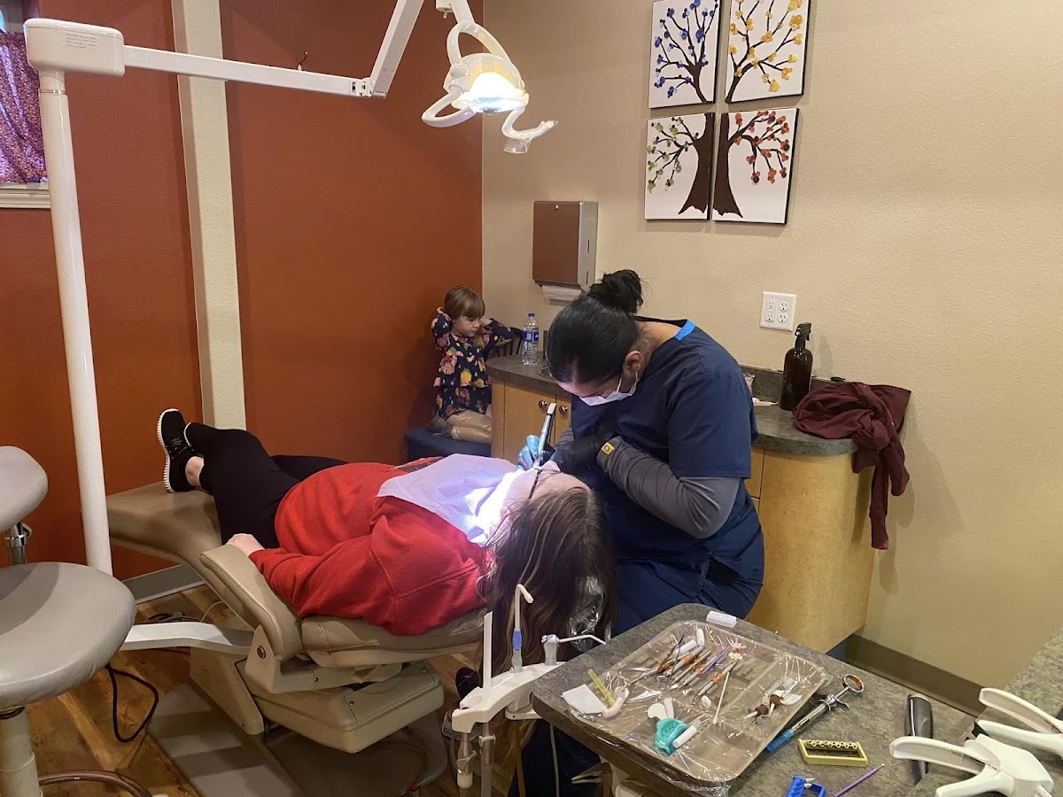 All Seasons Dental photo 4