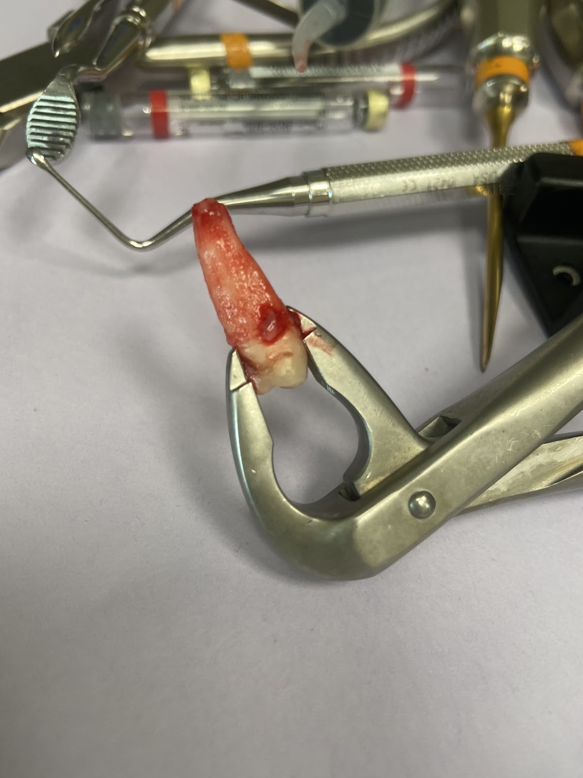 Aspen Dental - Allen Park photo 2