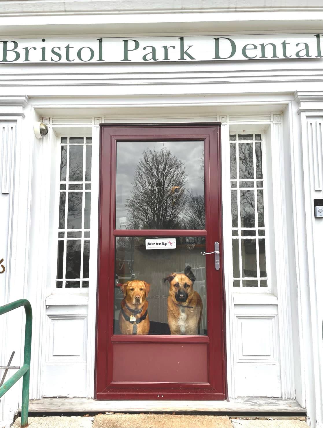 Bristol Park Dental photo 3