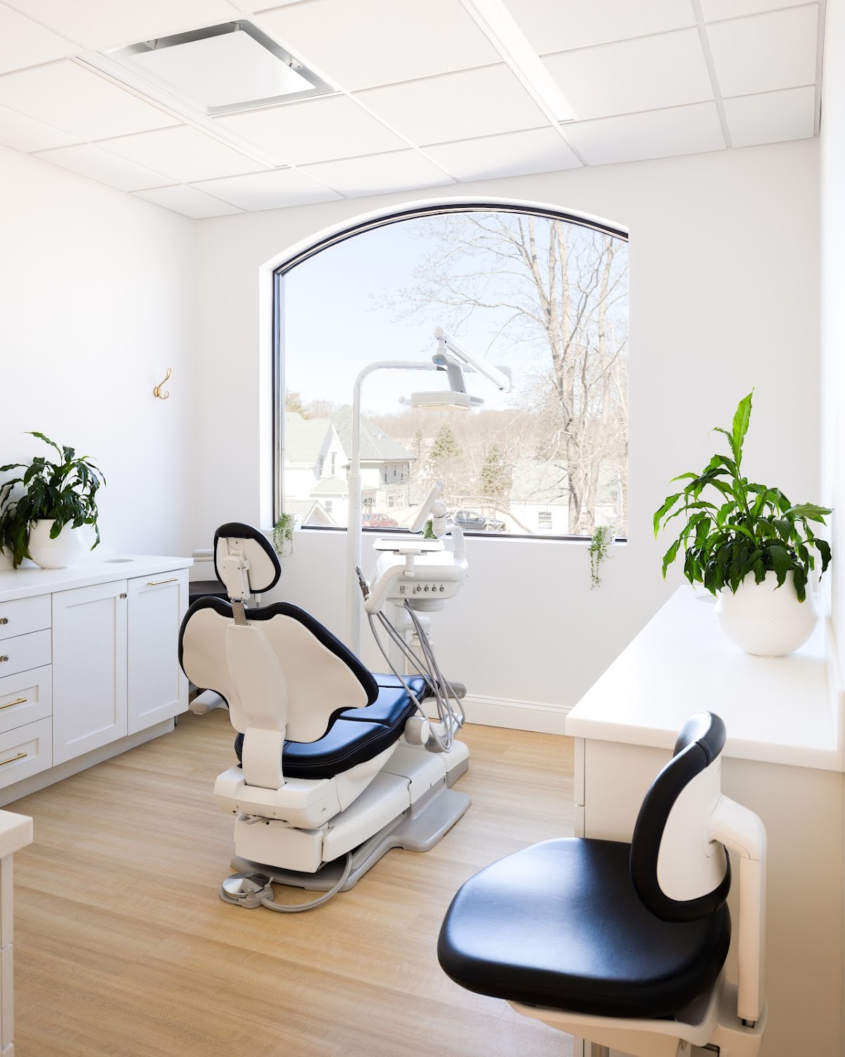 The Dental Loft photo 3