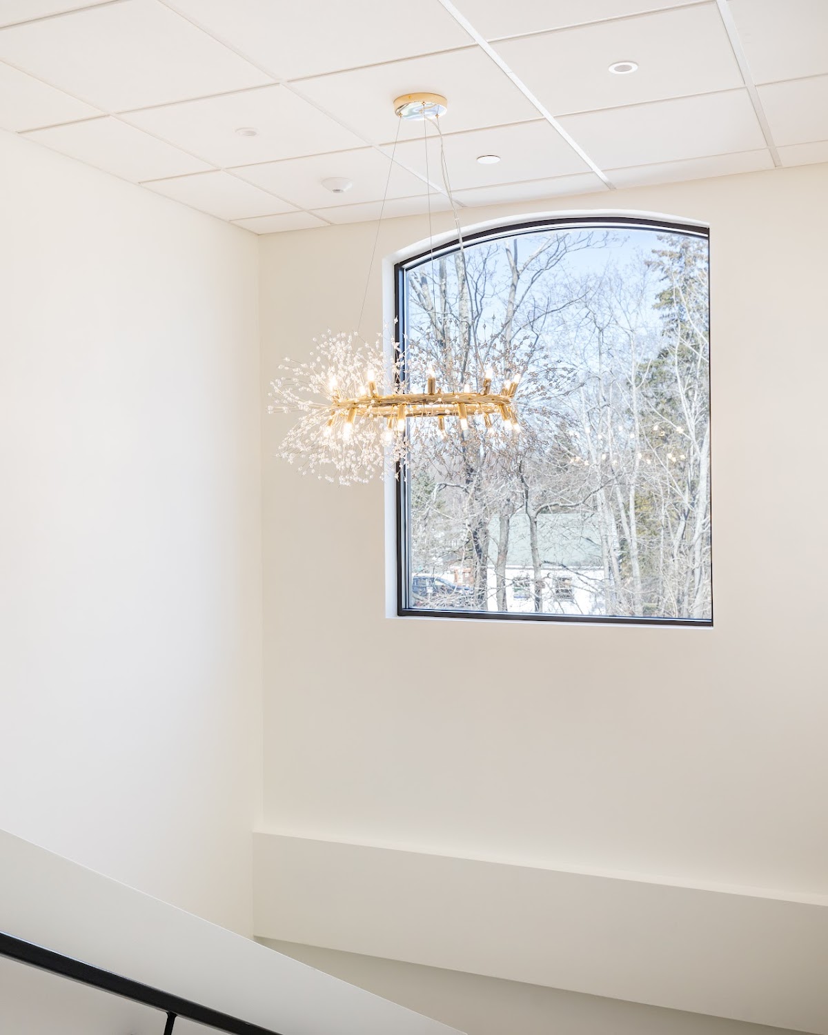 The Dental Loft photo 5
