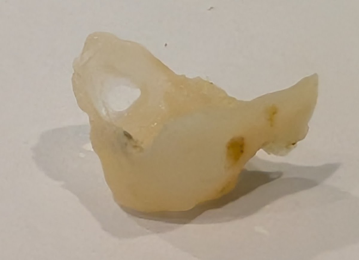 Henderson Modern Dentistry photo 5