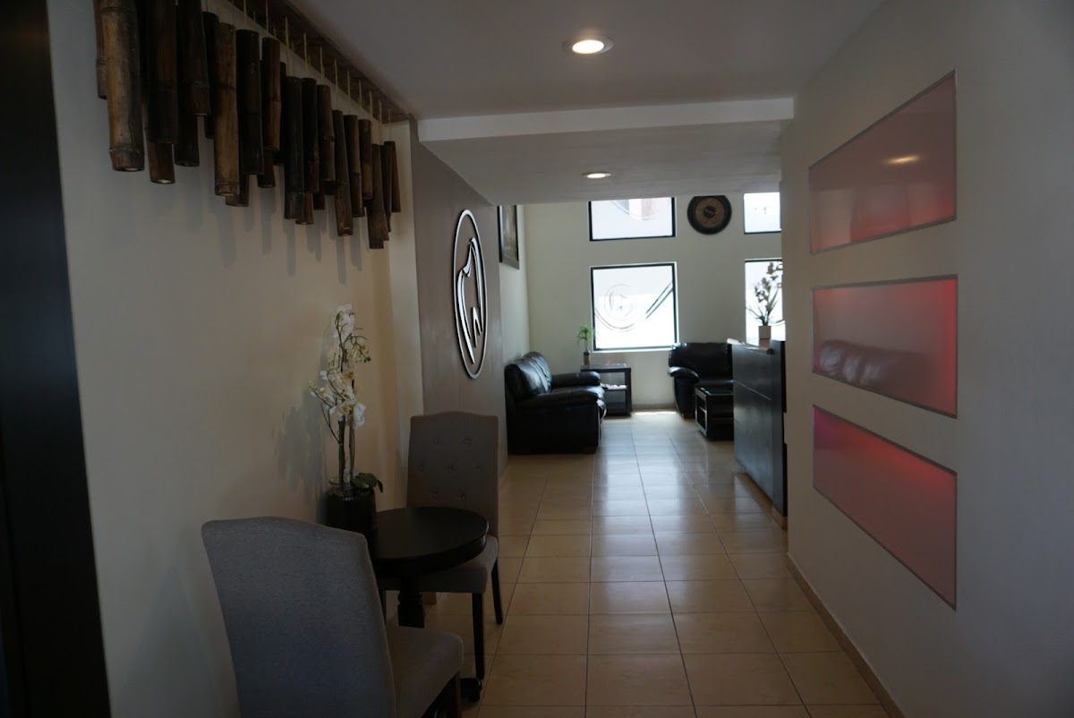 Dental Arts photo 6