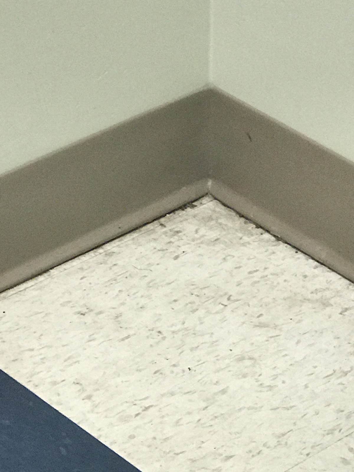 Aspen Dental - Daytona Beach photo 5