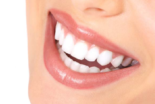 Robert H. Fredrickson DDS photo 5