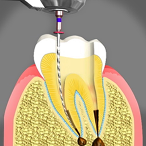Victoria Place Dental Center photo 2