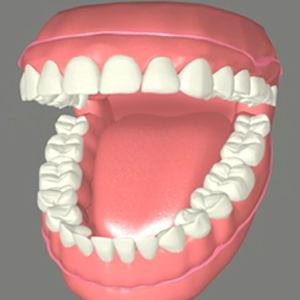 Victoria Place Dental Center photo 4