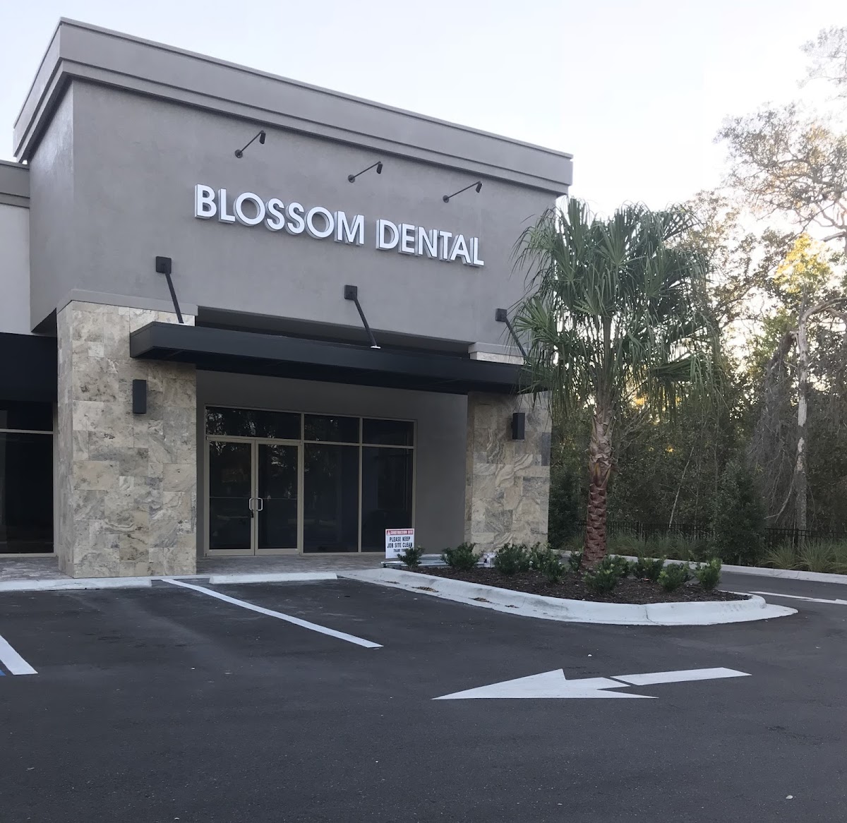 Blossom Dental and Facial Aesthetics photo 2
