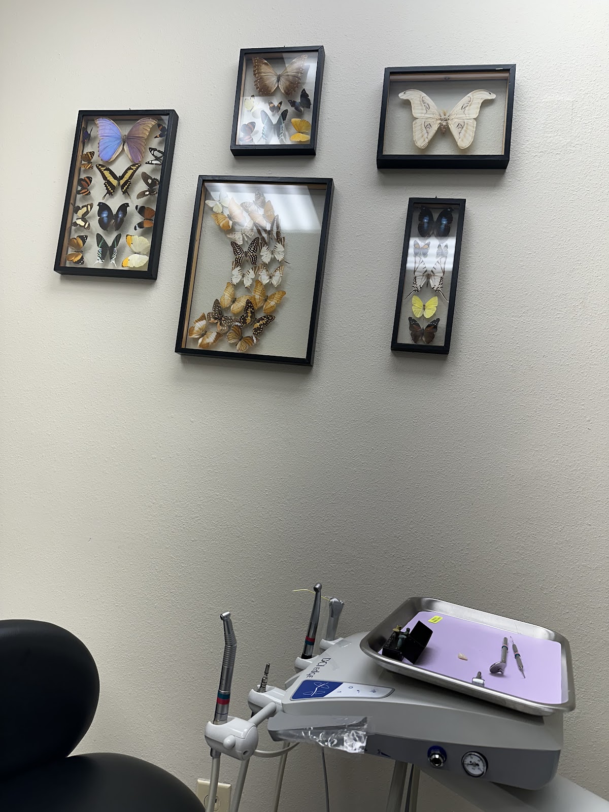Gentle Family & Implant Dentistry of Laredo - Rolando A. Guerra Jr. DDS & Associates photo 4