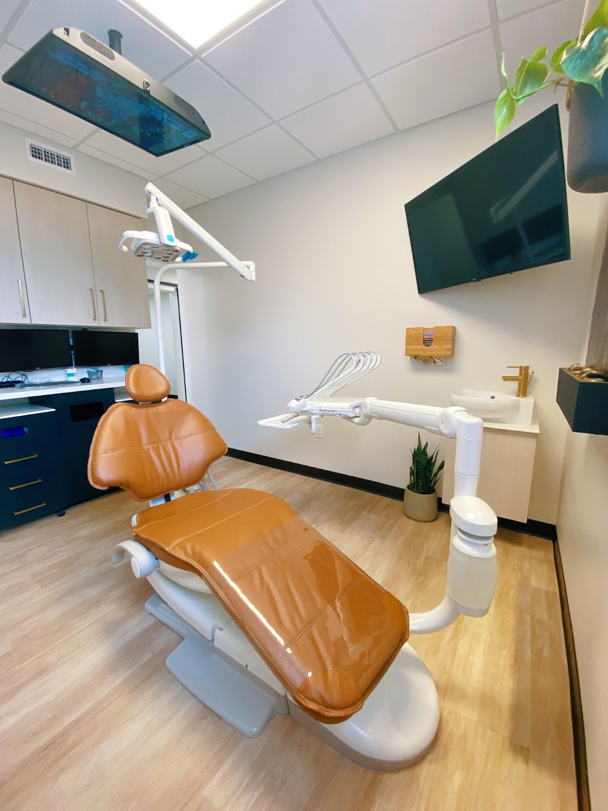 Lat Dentistry - Dr. Lindsay Thorn, DMD photo 3
